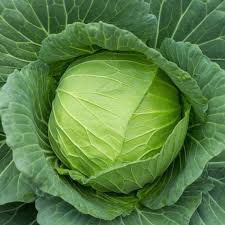 Mini Electric Silicone Face Brush image 4